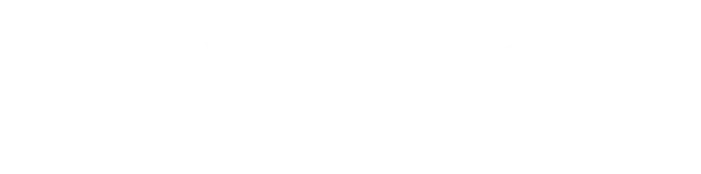 VSOL
